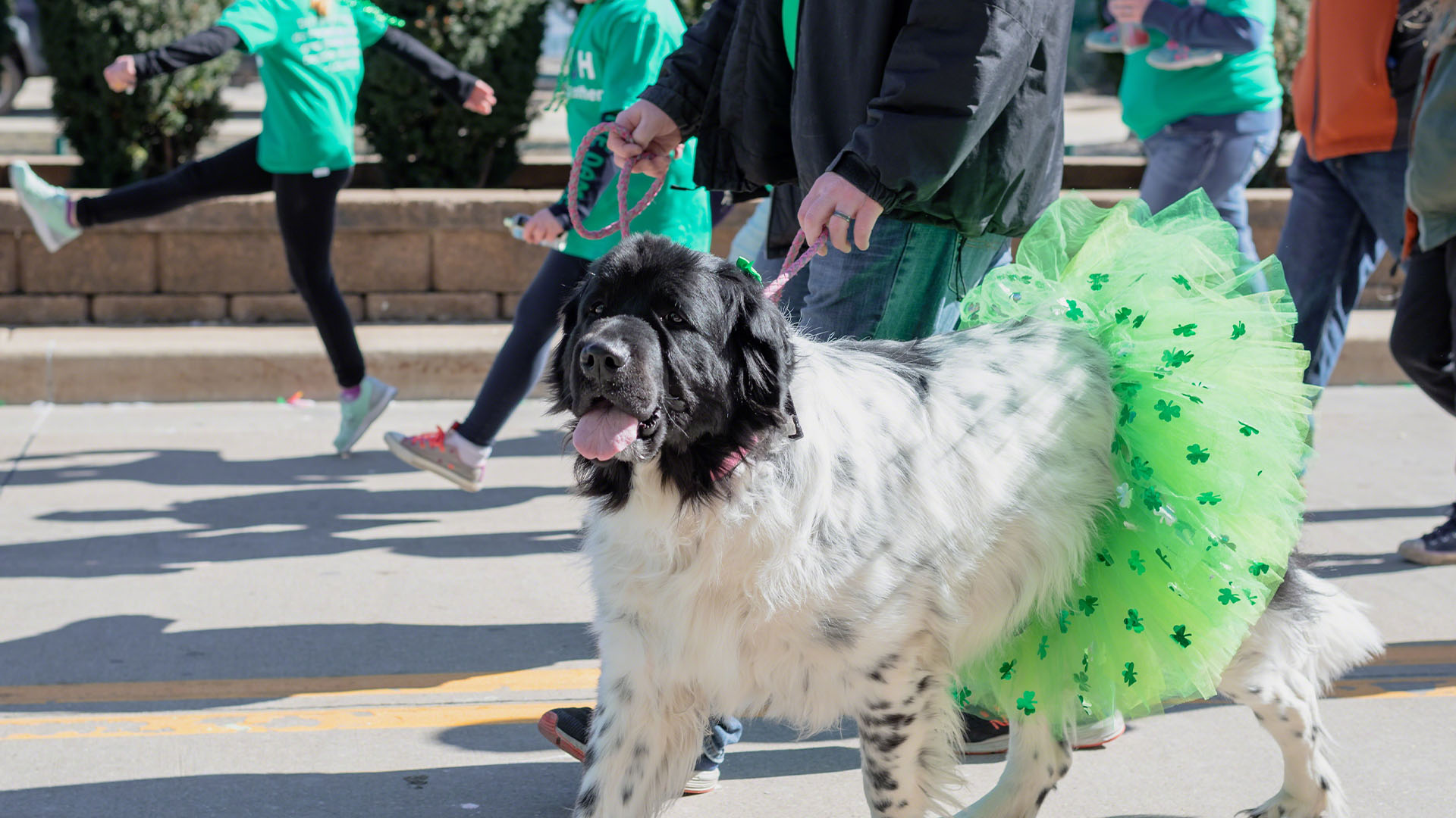 Too Many Car Accidents That Happen On St. Patrick’s Day End Tragically 6 St. Patrick's Day South Florida Injury Law Firm