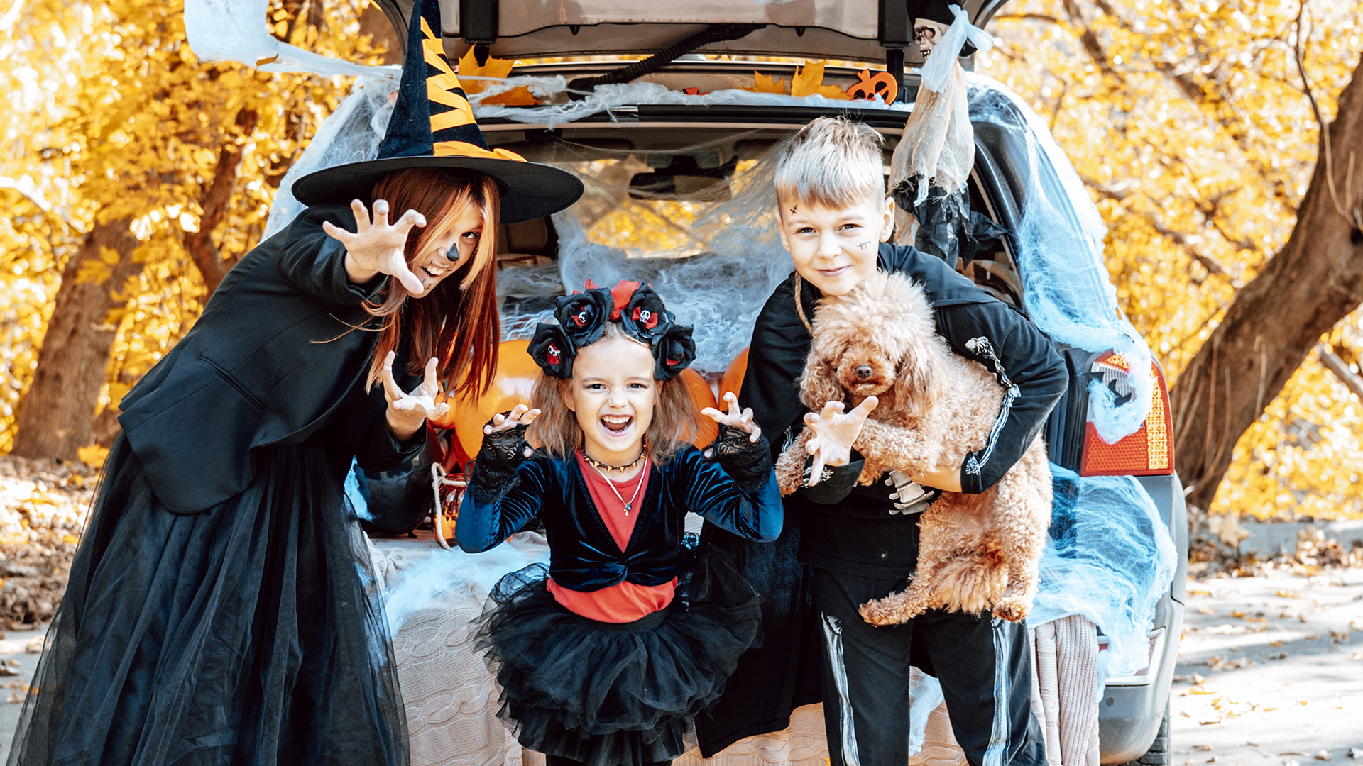 Avoid Frights: Halloween Night South Florida Driving Safety Tips 2 Children Injuries & Accidents South Florida Injury Law Firm